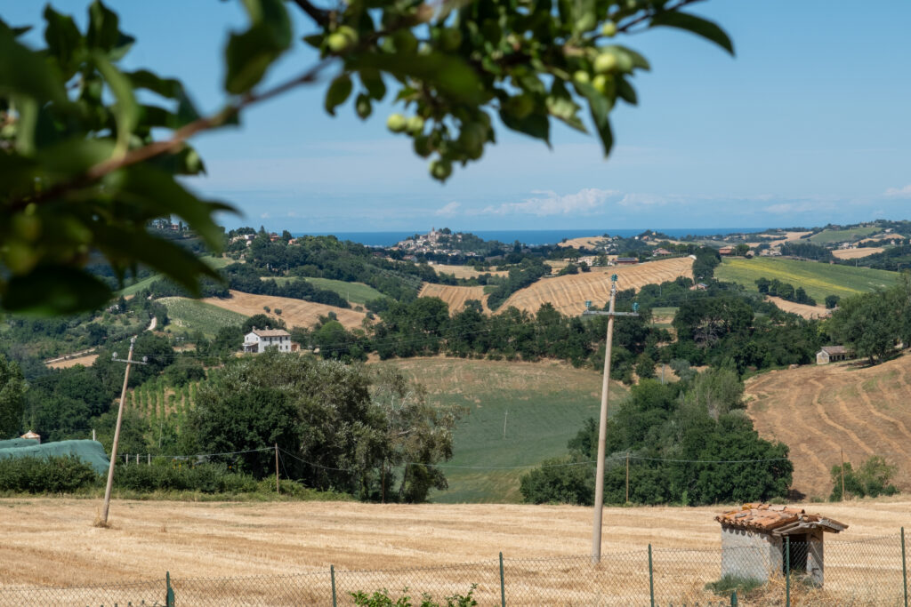 B&B vista mare